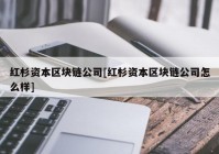 红杉资本区块链公司[红杉资本区块链公司怎么样]