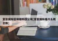 宣亚国际区块链科技公司[宣亚国际是什么概念股]